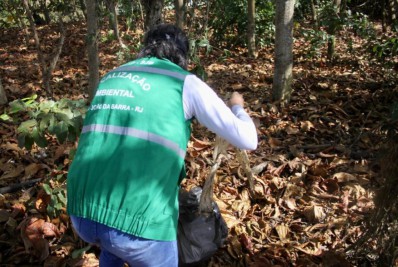 Meio Ambiente articula limpeza em ilhas fluviais por conta do Dia de Proteção dos Manguezais