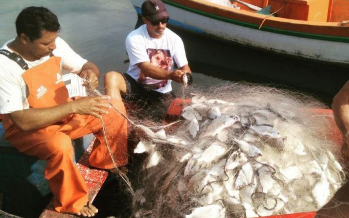 A atividade pesqueira na lagoa movimenta cerca de R$ 2,5 milh&otilde;es por ano de recursos na primeira venda