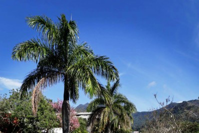 Nova galeria pluvial vai melhorar a captação de água e evitar danos na pavimentação da Rua Tietê, em Araras