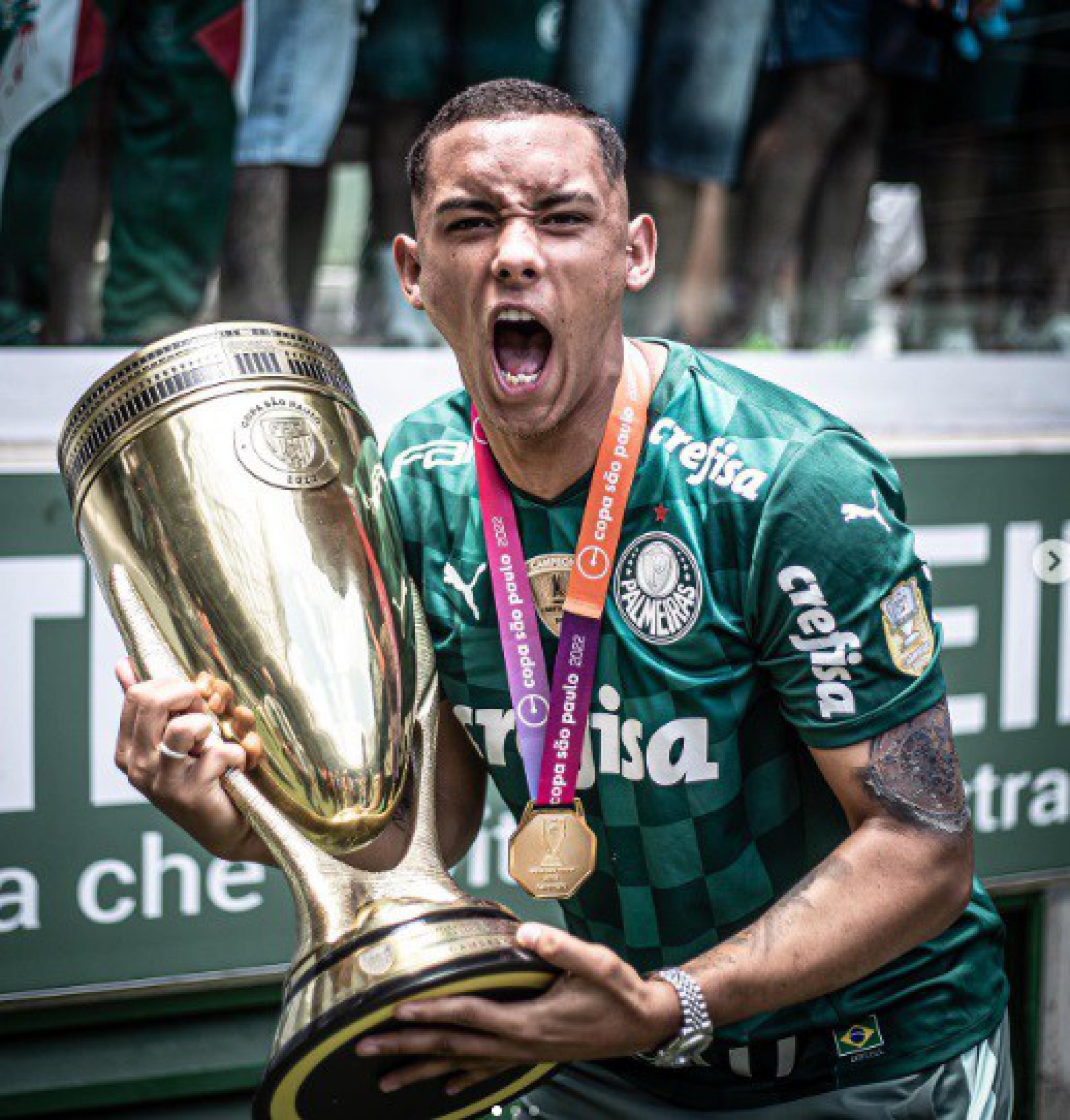 Michel  - Divulgação / Palmeiras