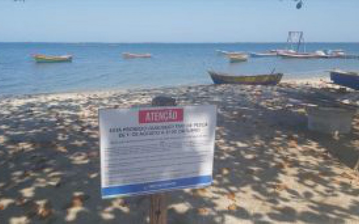 A Guarda Ambiental do munic&iacute;pio realiza a&ccedil;&otilde;es de fiscaliza&ccedil;&atilde;o para coibir qualquer tipo de irregularidade