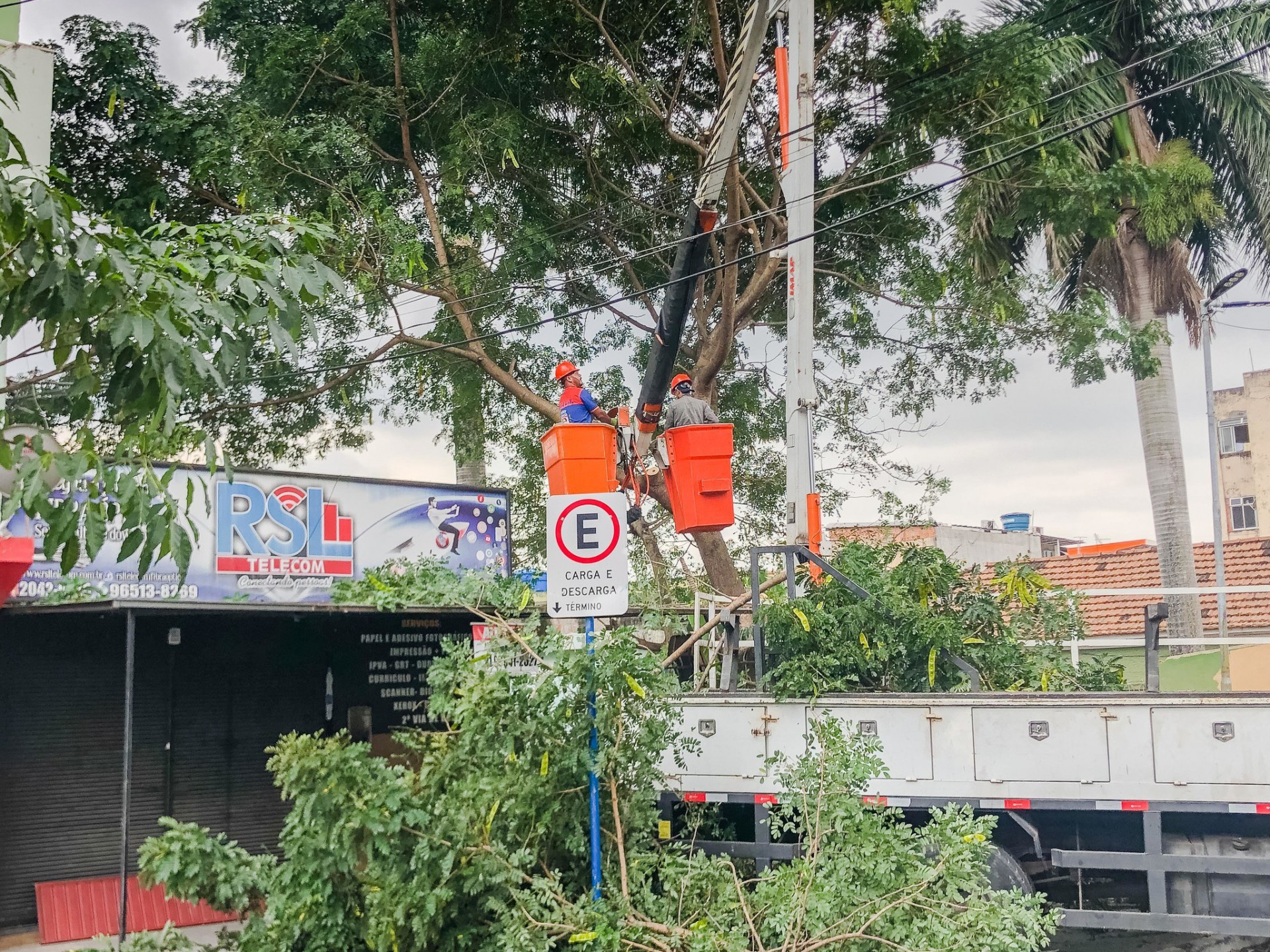 Agentes retiram árvore na Rua Mr. Watkins - Divulgação/ PMM