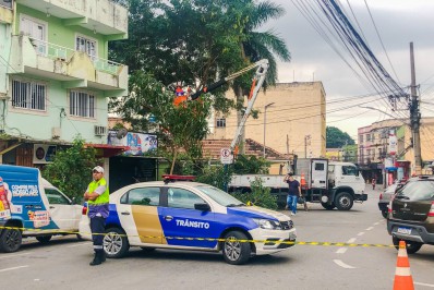 Agentes retiram árvore na Rua Mr. Watkins, no Cetro d e Mesquita