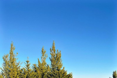 Giovanna Ewbank e Bruno Gagliasso publicam texto agradecendo apoio após filhos sofrerem racismo