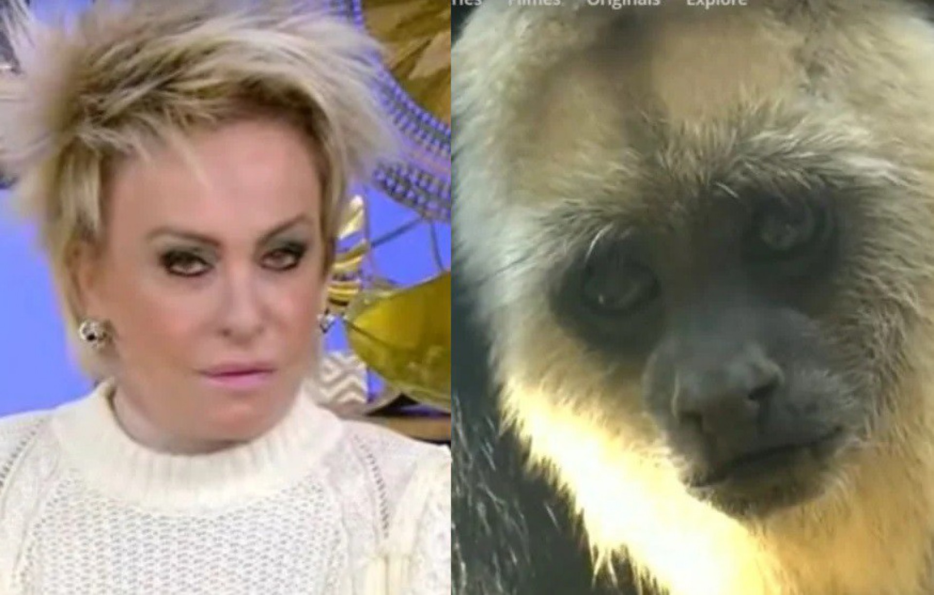 Funcion&aacute;rio que exibiu v&iacute;deo de macaco no 'Mais Voc&ecirc;' &eacute; demitido - Reprodu&ccedil;&atilde;o da TV Globo
