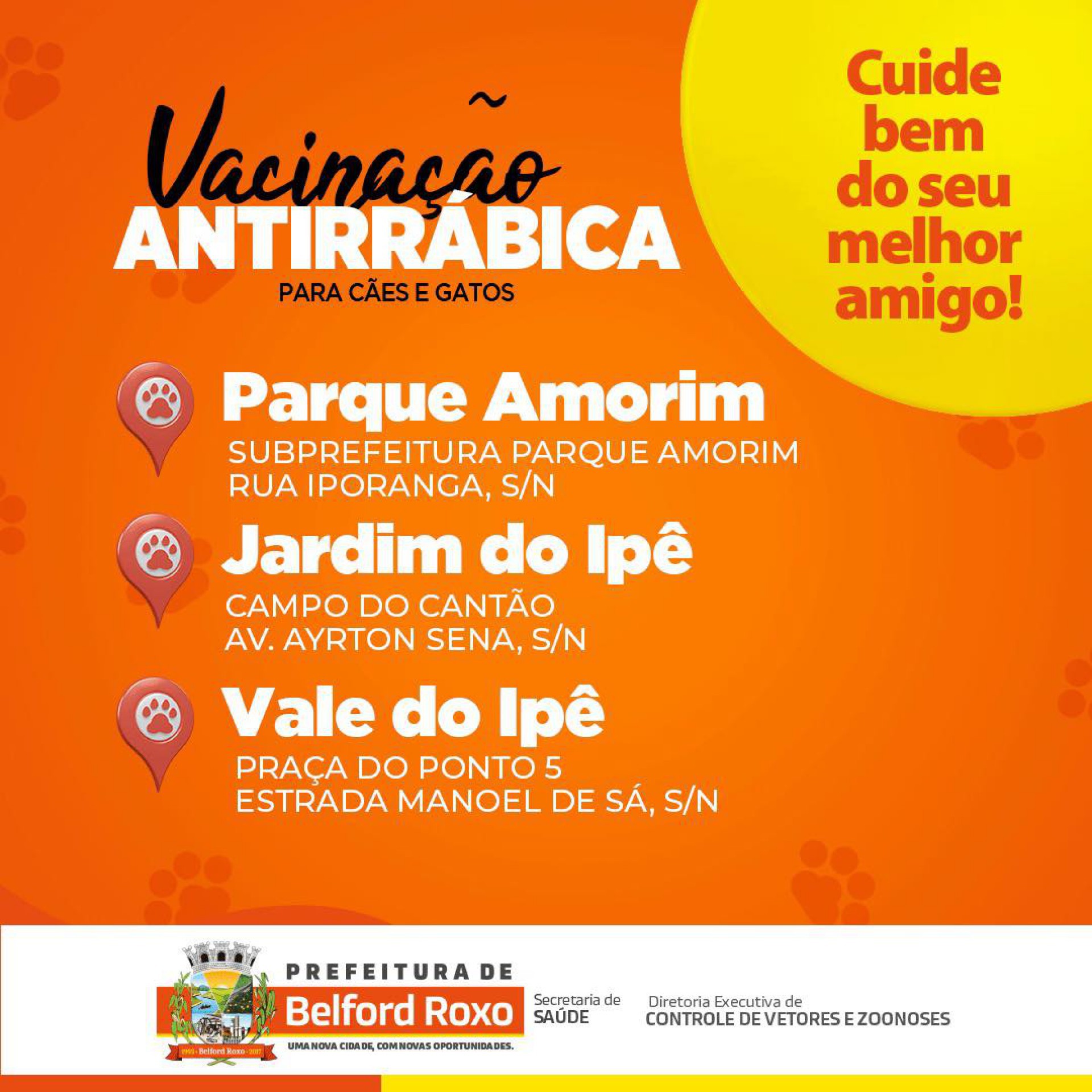 A vacina&ccedil;&atilde;o ser&aacute; para c&atilde;es e gatos - Divulga&ccedil;&atilde;o