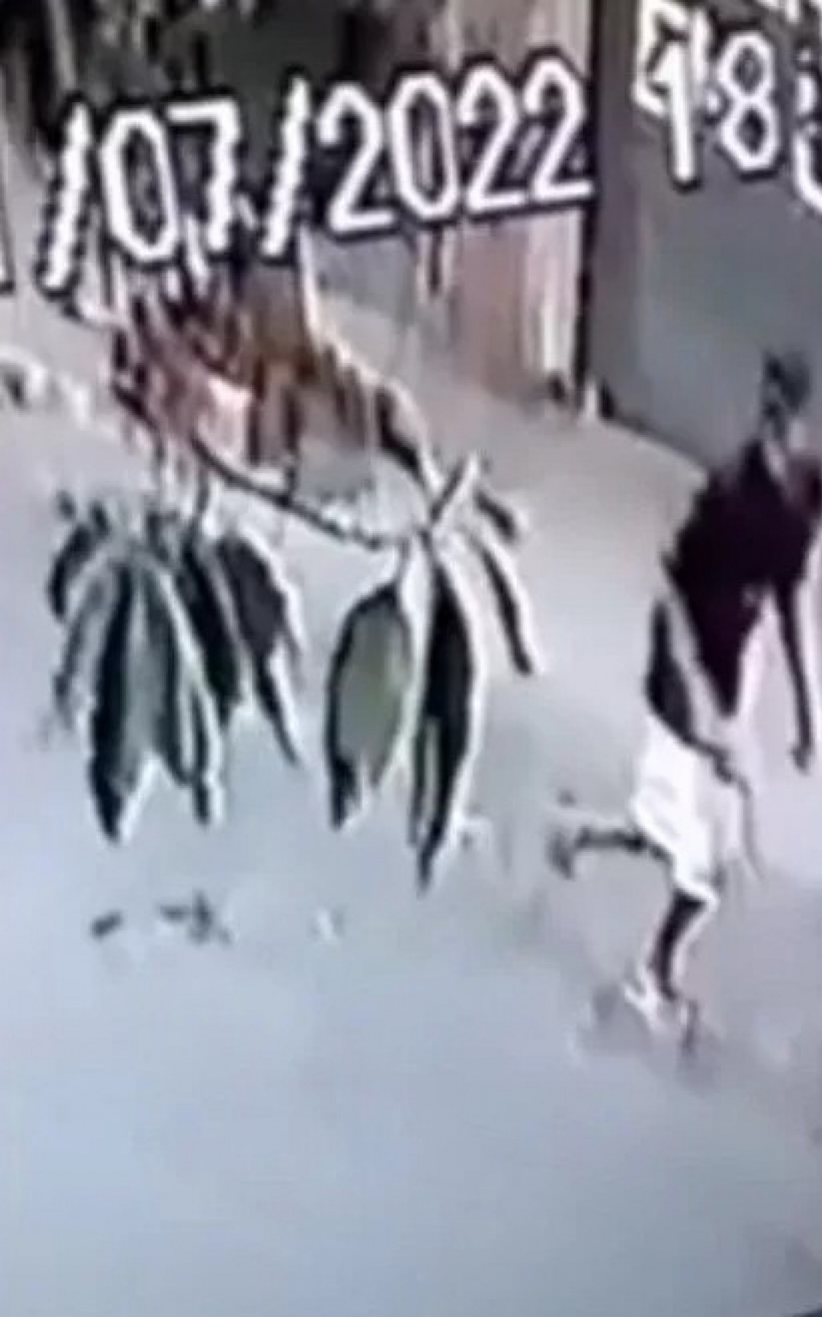 Câmeras flagram dupla correndo atrás de Bárbara - Reprodução