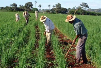 Nova lei municipal de Magé prevê aumentar a arrecadação do Fundo de Participação dos Municípios e garantir direitos aos pequenos agricultores