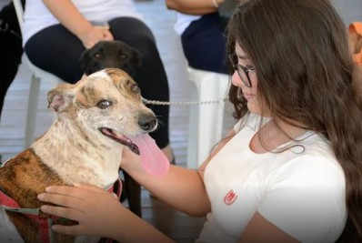 Projeto de castração gratuita chega em São Pedro da Aldeia