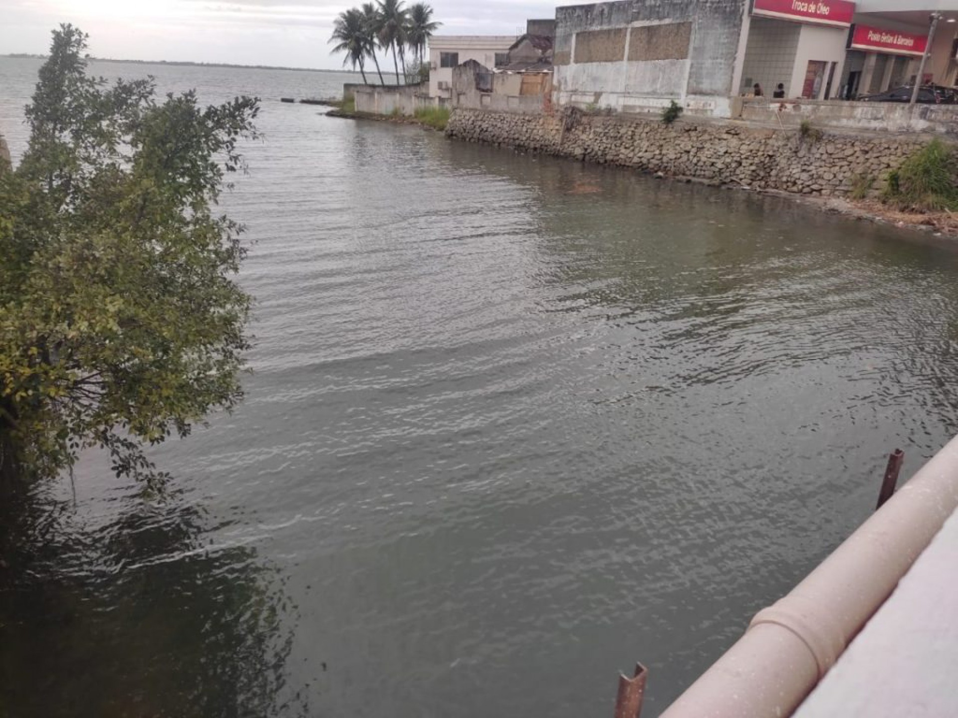 Zezinho percorreu o rio pra verificar a denúncia 