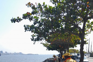 Clin realiza mutirão de limpeza nas pedras da litorânea