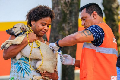Campanha de vacinação Antirrábica já imunizou mais de sete mil cães e gatos em Belford Roxo
