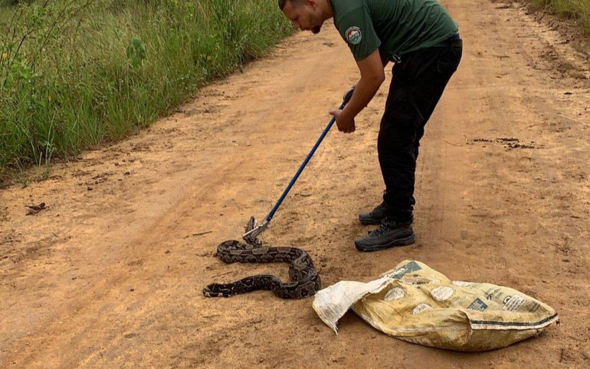 A fiscaliza&ccedil;&atilde;o e aplica&ccedil;&atilde;o da penalidade ser&atilde;o de responsabilidade da Guarda Ambiental Municipal e da Secretaria de Meio Ambiente