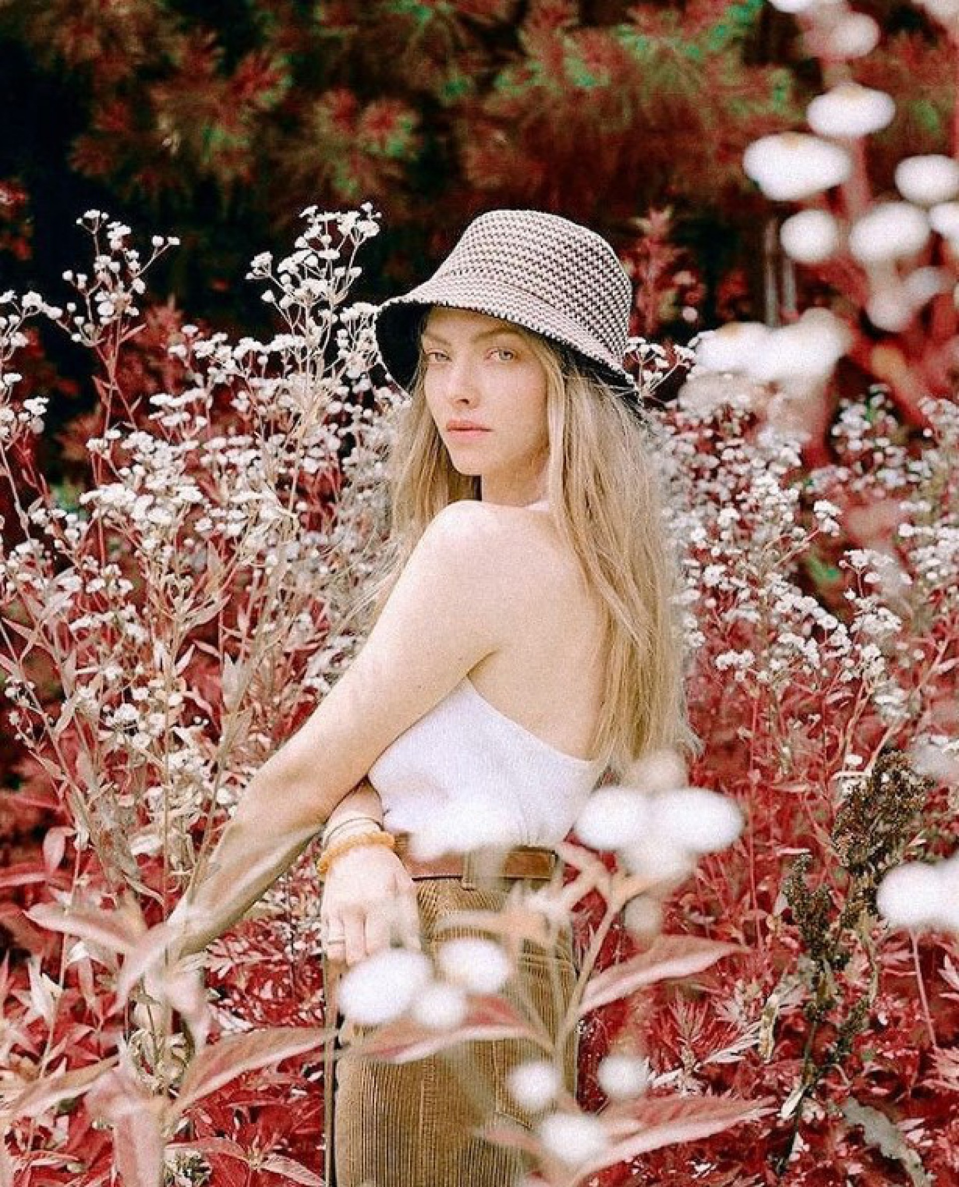 Amanda Seyfried - Reprodução/Instagram