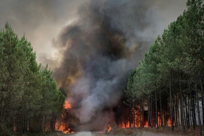 Incêndios florestais no sudoeste da França são reacendidos por calor e seca na região 
