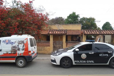 Polícia Civil prende mulher por maus tratos animais em São José do Imbassaí