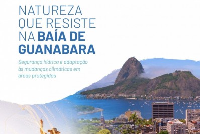 Baía de Guanabara ainda tem jeito e pode ser a salvação do Rio