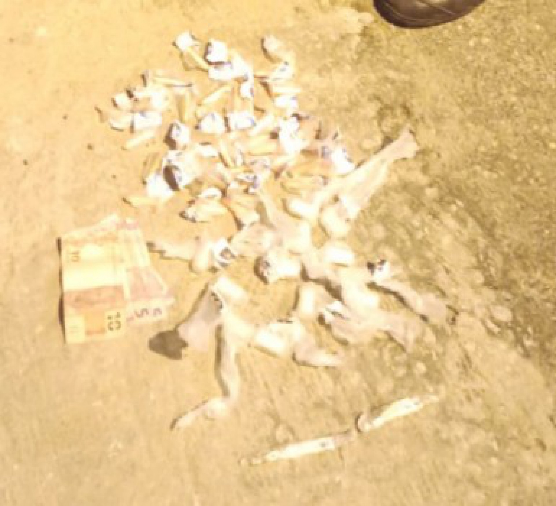 Em Araruama, foram apreendidos 56 pinos de coca&iacute;na, dois tabletes de maconha e R$ 30 em esp&eacute;cie  - Letycia Rocha (RC24h)