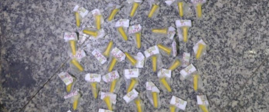 Foram apreendidos 55 pinos de cocaína - Letycia Rocha (Rc24h)