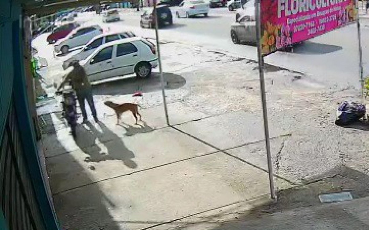 O homem estava mexendo em uma moto na calçada quando o cão se aproximou do suspeito abanando o rabo - Reprodução/PCERJ