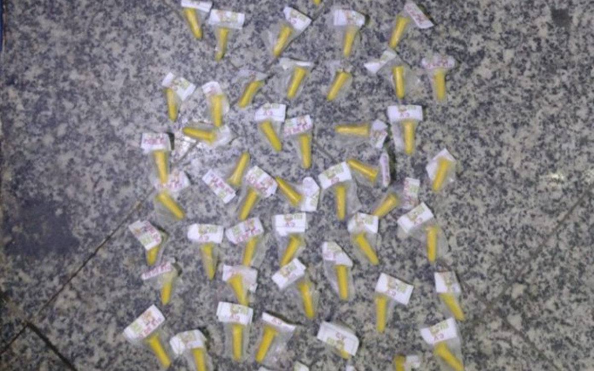 Foram apreendidos 55 pinos de cocaína