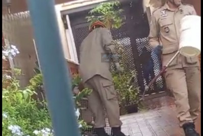 Bombeiros resgatam Furão dentro de residência em Maricá