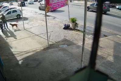 Moradores vão prestar depoimento sobre morte de cachorro a tiros na Zona Oeste