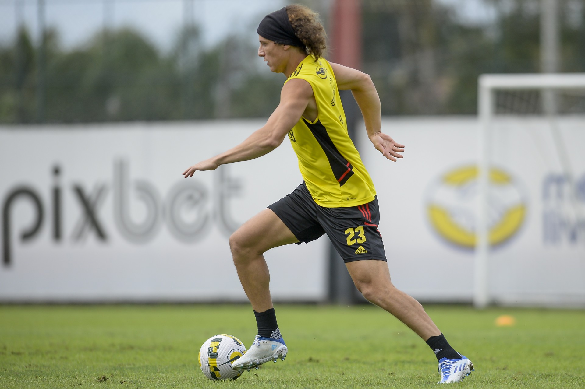 David Luiz - Marcelo Cortes / Flamengo