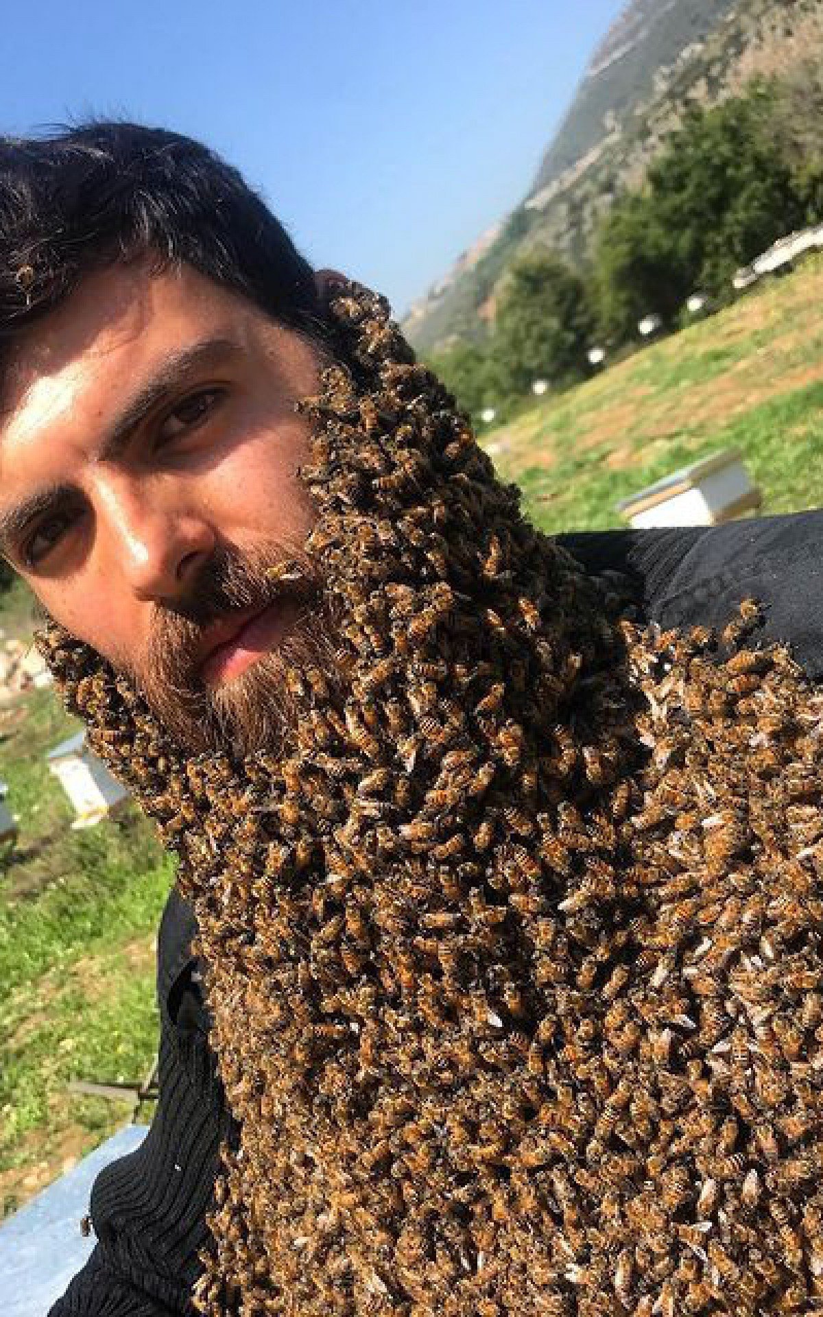 Apicultor faz sucesso nas redes sociais ao surgir coberto por abelhas - Reprodução Instagram