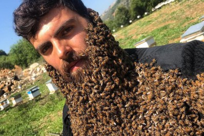 Apicultor faz sucesso nas redes sociais ao surgir coberto por abelhas