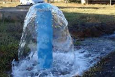 Empresa vence licitação do governo federal no valor de R$ 53 milhões em pregão de dez minutos