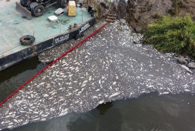 Mais de 100 toneladas de peixes mortos são retirados de rio entre Polônia e Alemanha