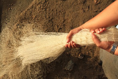 Legislação pesqueira e ambiental será debatida na sexta-feira, dia 19