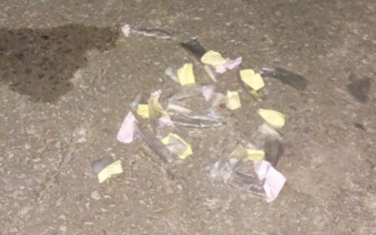 Foram apreendidas dez tiras de maconha, dez pinos de coca&iacute;na, quatro pedras de crack e um aparelho celular