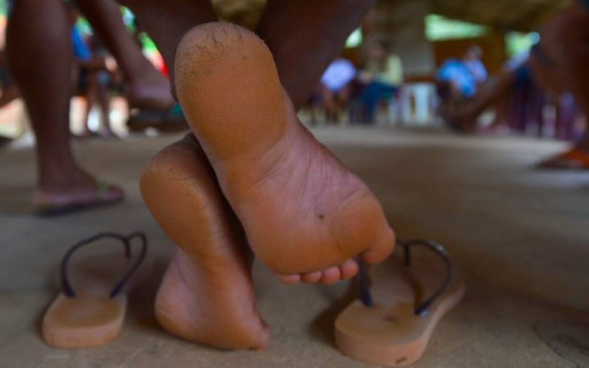 Relat&oacute;rio da ONU revela ind&iacute;cios de trabalho for&ccedil;ado no Brasil e na China