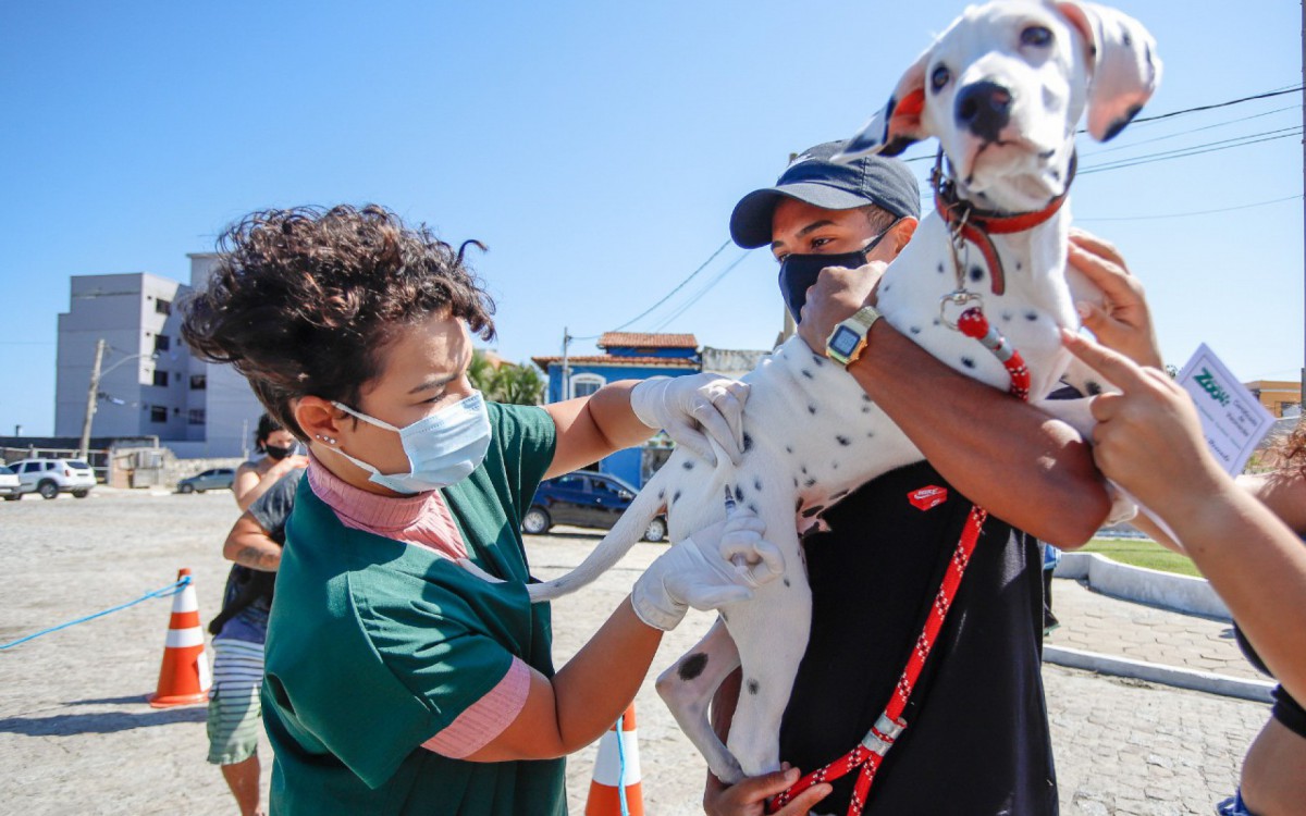 Prefeitura de Saquarema d&aacute; in&iacute;cio &agrave; Campanha de Vacina&ccedil;&atilde;o Antirr&aacute;bica