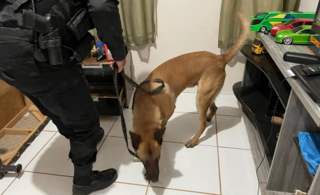 Força-tarefa realiza operação contra facção criminosa nos estados do Mato Grosso e Rio de Janeiro - Divulgação: Polícia Federal