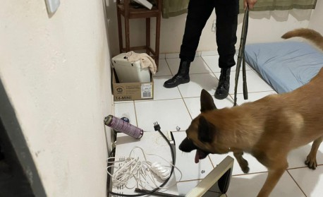 ForÃ§a-tarefa realiza operaÃ§Ã£o contra facÃ§Ã£o criminosa nos estados do Mato Grosso e Rio de Janeiro - DivulgaÃ§Ã£o: PolÃ­cia Federal