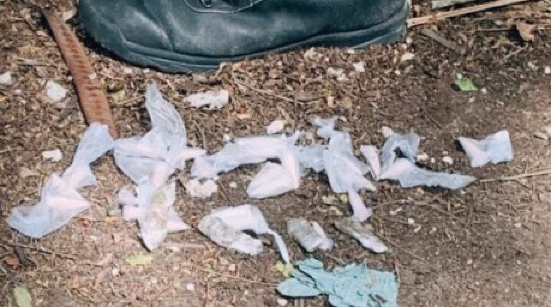  Foram apreendidas 23 c&aacute;psulas de coca&iacute;na, quatro buchas de maconha, R$ 15 em esp&eacute;cie e um aparelho celular - Divulga&ccedil;&atilde;o da PM