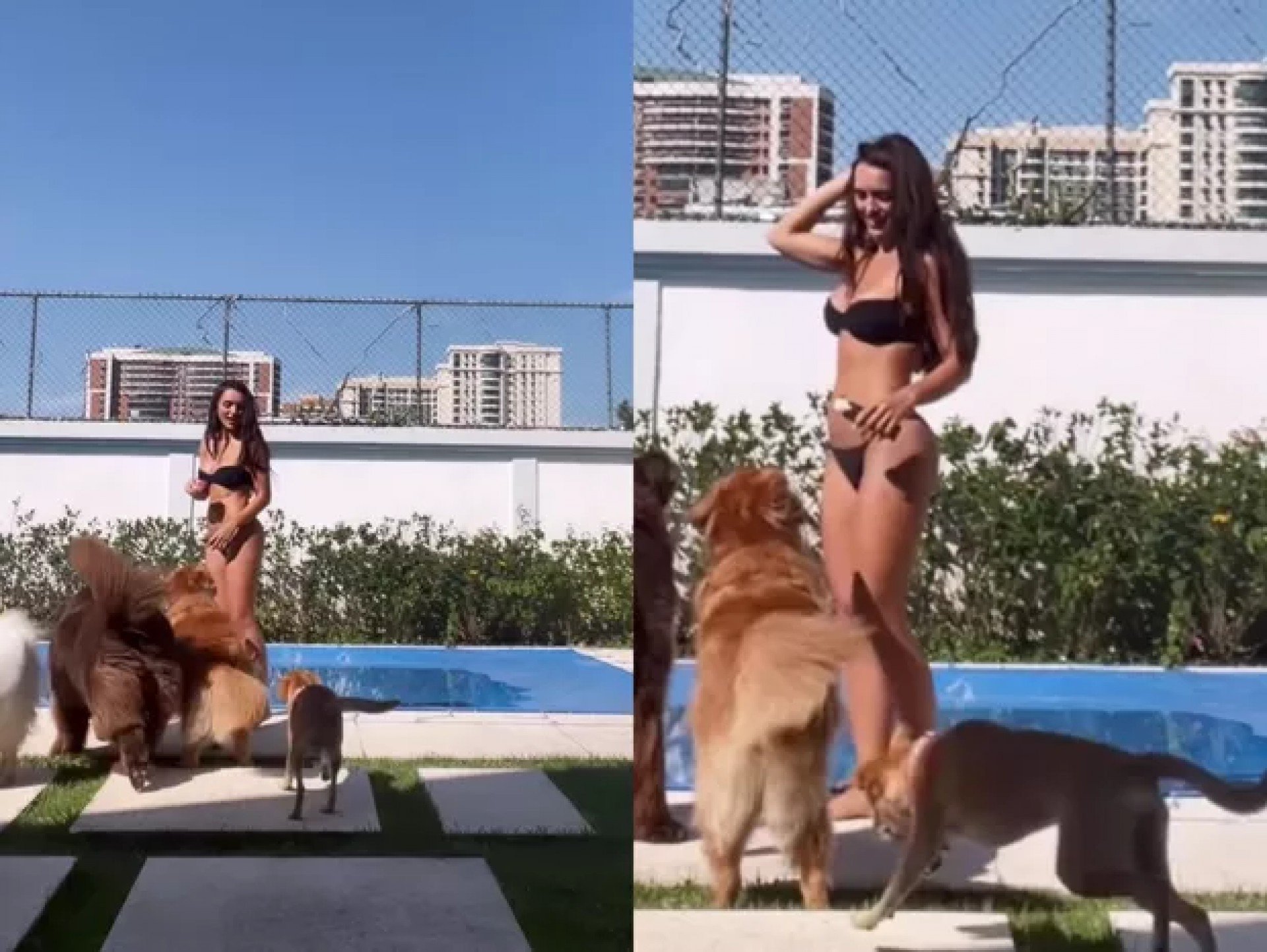 Rafa Kalimann aproveita sol com seus cachorros - Reprodução Internet