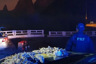 Polícia prende motorista com maconha e cocaína escondidas em aparelho de som