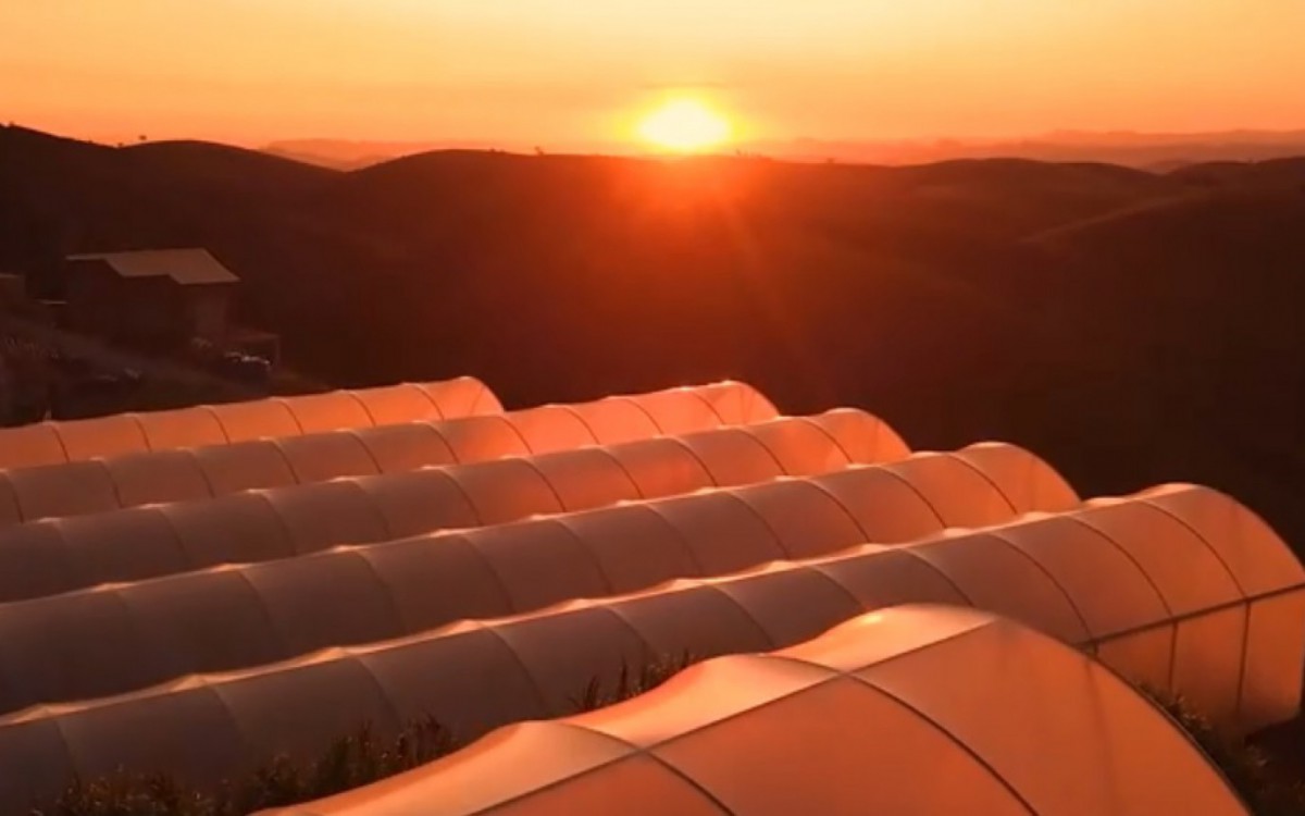 Paty do Alferes &eacute; conhecida como "terra do tomate"