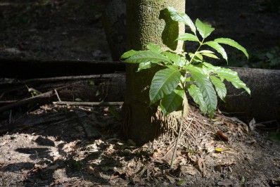 Cedae promove agenda socioeducativa ambiental em Belford Roxo