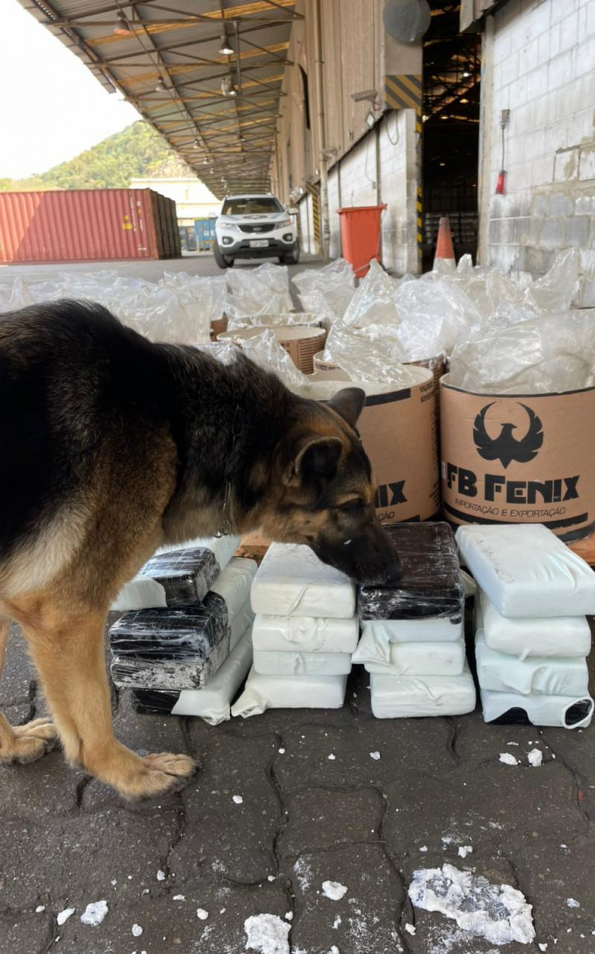 A droga foi encontrada com a ajuda de cães farejadores - Divulgação
