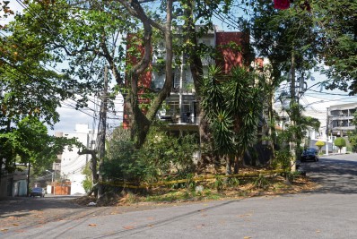 Light e Prefeitura: ainda falta diálogo para a poda de árvores