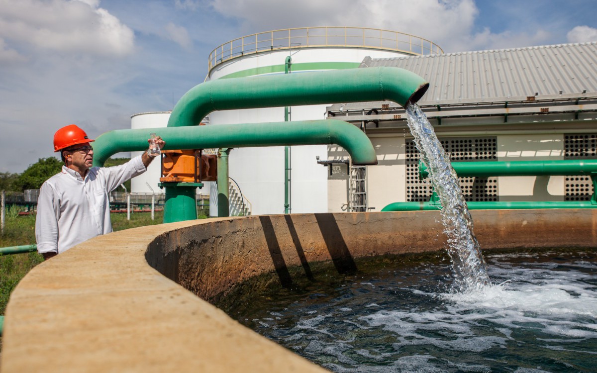 A Bayer &eacute; uma empresa global com compet&ecirc;ncias essenciais nas &aacute;reas de ci&ecirc;ncias da vida de sa&uacute;de e nutri&ccedil;&atilde;o