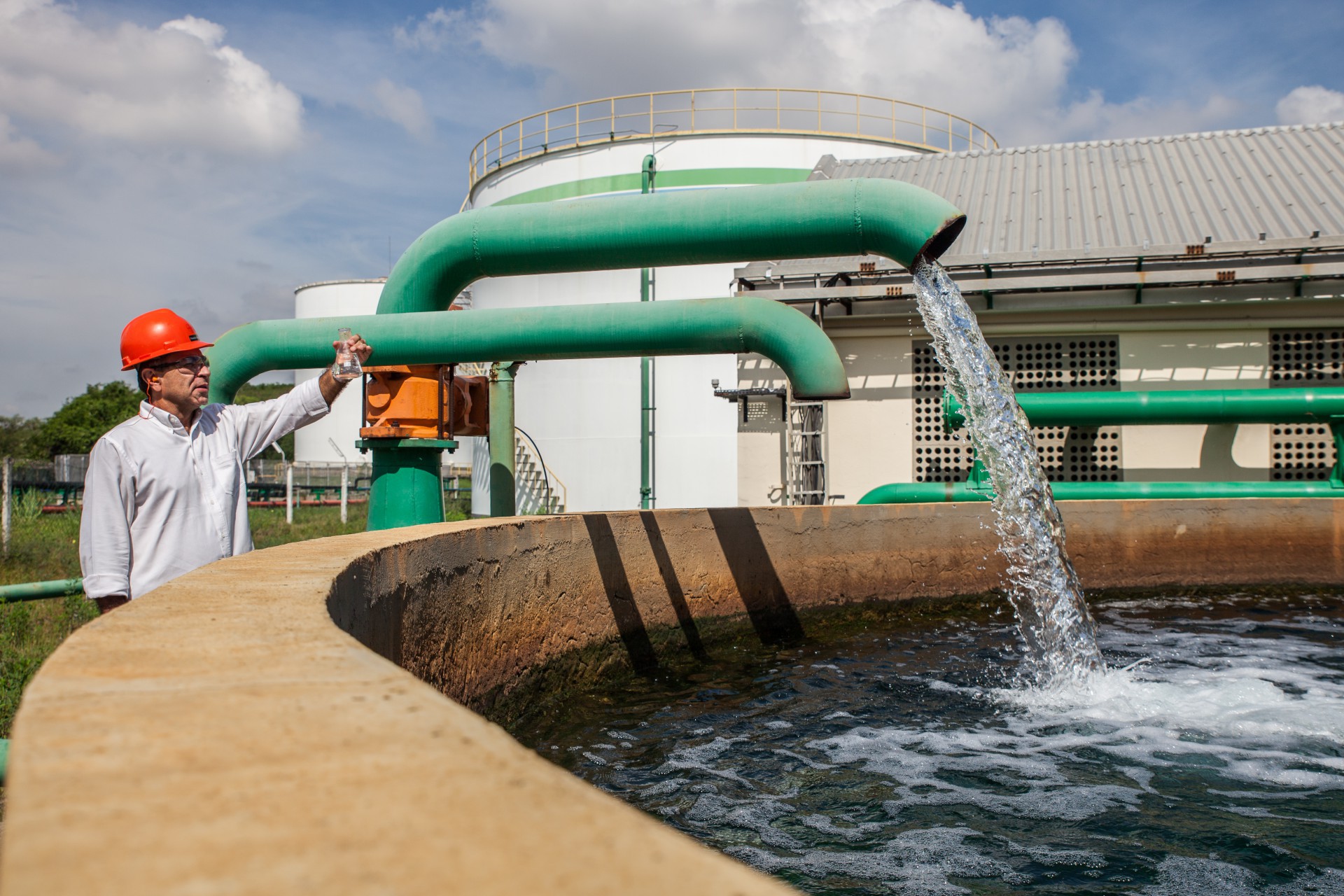 A Bayer é uma empresa global com competências essenciais nas áreas de ciências da vida de saúde e nutrição - Divulgação