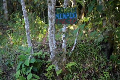 Colômbia anuncia a suspensão de bombardeios em acampamentos de guerrilheiros com menores