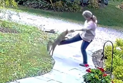 Vídeo: mulher é atacada por raposa raivosa nos EUA