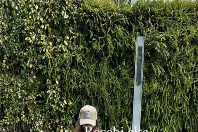 Após cirurgia de emergência, Sammy tem alta hospitalar 